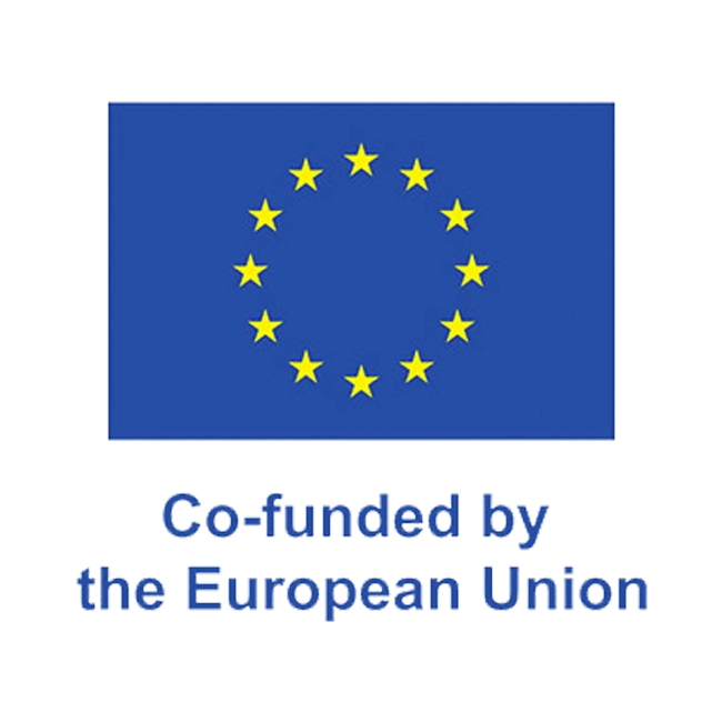 Social Economy for the Young